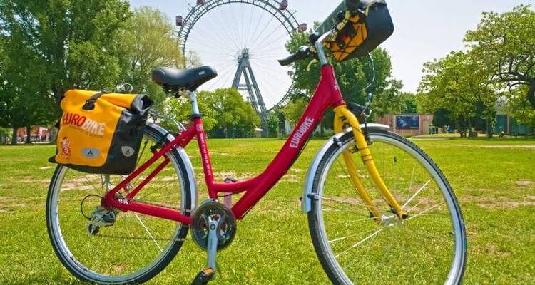 Fahrrad mit bunten Taschen, das vor einem Riesenrad geparkt ist.