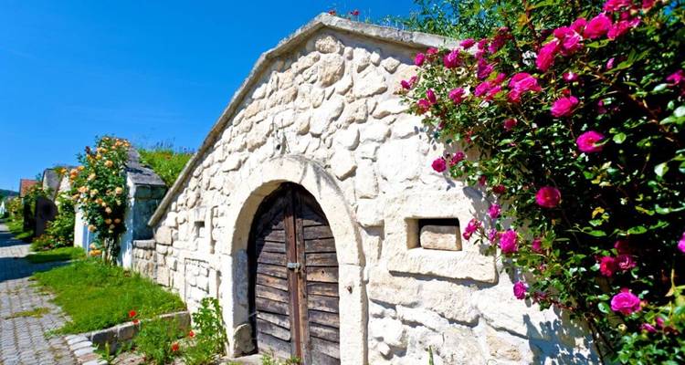 Rustiek stenen gebouw met kleurrijke rozen op een zonnige dag.