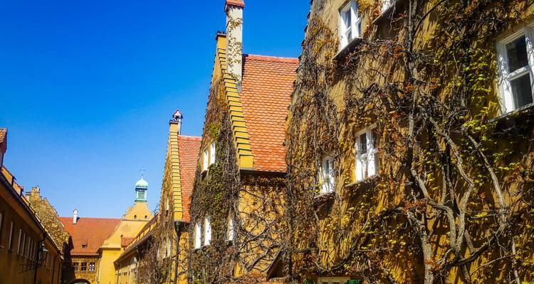 Sonnenbeschienene Gasse mit efeuumrankten mittelalterlichen Gebäuden mit orangefarbenen Dächern unter einem tiefblauen Himmel.