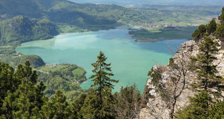 Türkiser Alpensee gesehen von felsiger Klippe mit immergrünen Bäumen im Vordergrund.