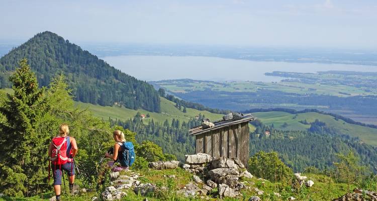 Hikers enjoying a panoramic view from the trail.