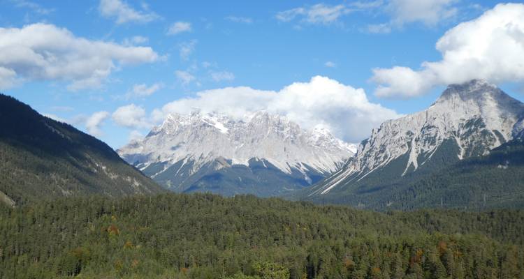 Vue panoramique des Alpes avec des forêts au premier plan.