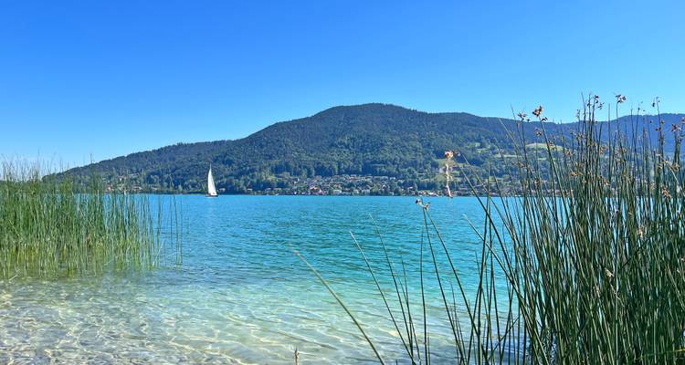 Lago alpino turquesa con juncos en primer plano y velero deslizándose