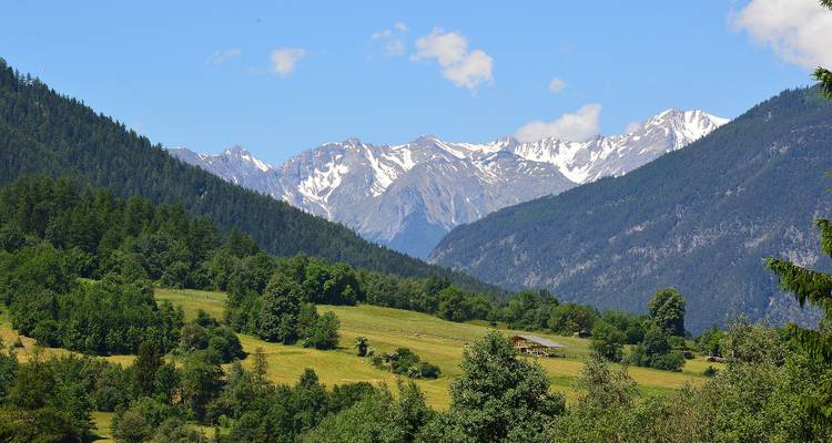 Grünes Tal mit schneebedeckten Bergen unter blauem Himmel.