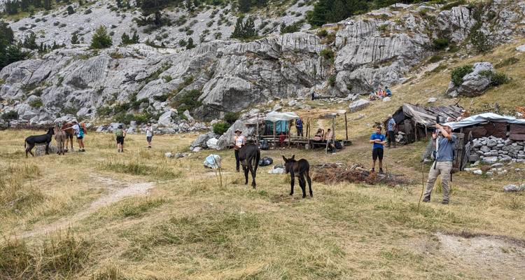 Ländliche Szene mit Vieh und Menschen in einer rauen Landschaft.