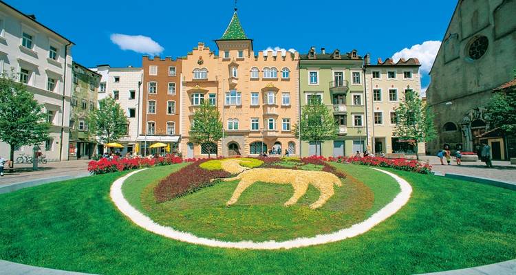 Ein Stadtplatz mit verzierten Gebäuden und einer zentralen Blumendekoration.