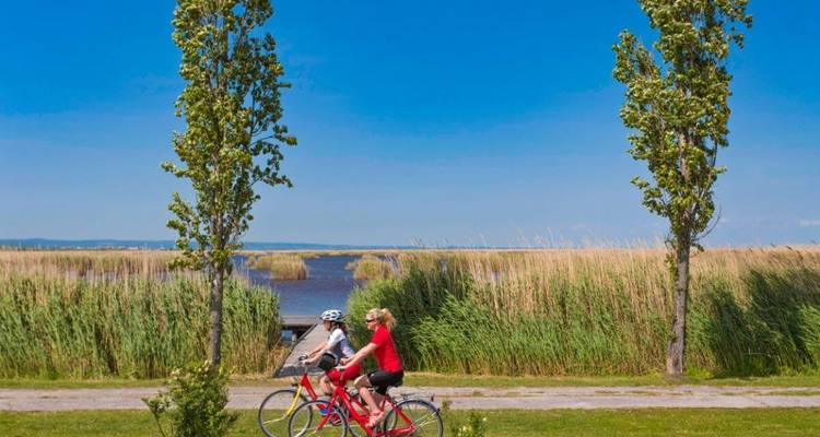 Zwei Personen fahren Fahrrad auf einem Weg neben einem See mit hohem Gras.