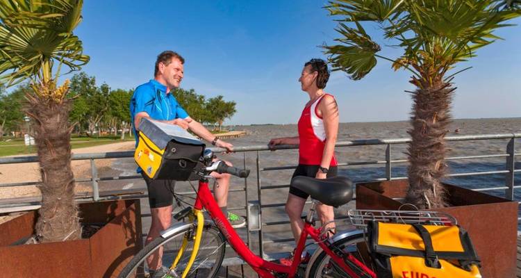 Zwei Radfahrer, die am Wasser mit Palmen ringsum sprechen.