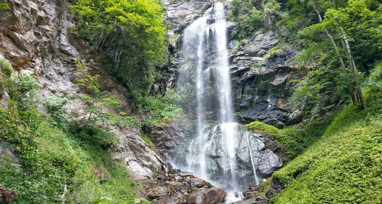 Hoher Wasserfall, der über eine felsige Klippe herabstürzt und von üppiger grüner Waldvegetation umgeben ist.