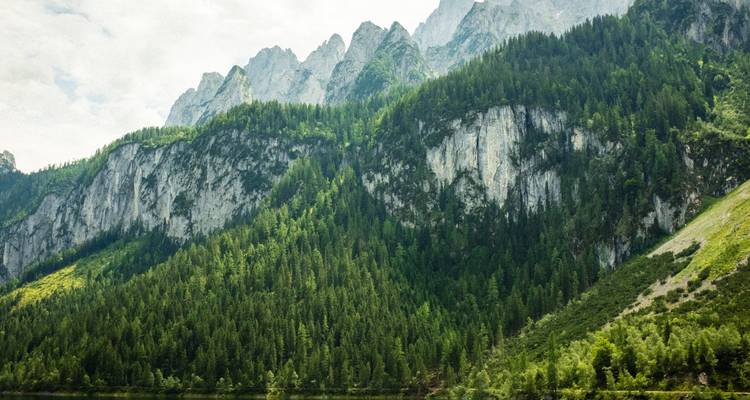 Ein dichter Wald, der steile Klippen bedeckt, mit felsigen Gipfeln darüber.