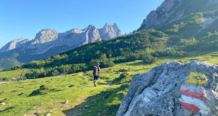 Een eenzame wandelaar loopt langs een grasrijk alpenpad onder ruige grijze bergtoppen, met een geschilderde wegmarkering op een rotsblok op de voorgrond.