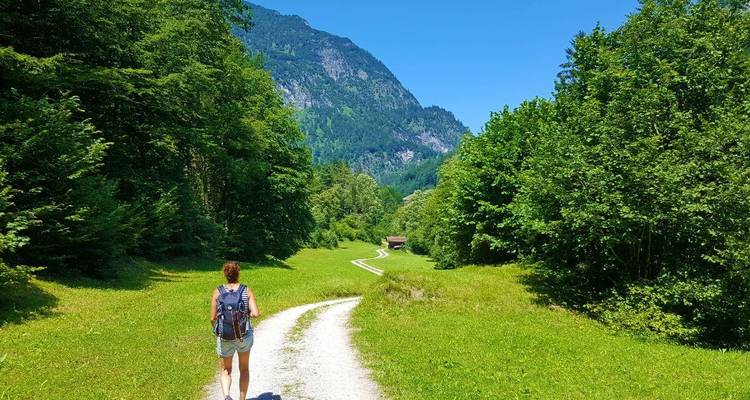 Wandelaar die in de zomer door een bospad loopt.