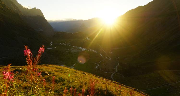 Een vallei tijdens zonsondergang met bloemen en een rivier.