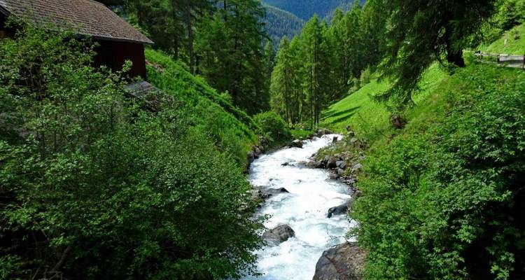 Rivière tumultueuse coulant à travers une forêt avec une végétation luxuriante tout autour.