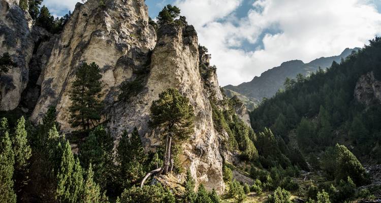 Acantilados escarpados y árboles en un paisaje montañoso.