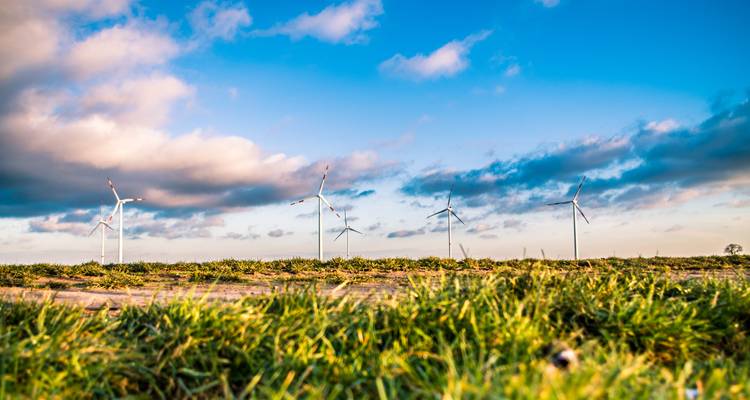 Éoliennes sur un paysage herbeux sous un ciel nuageux.