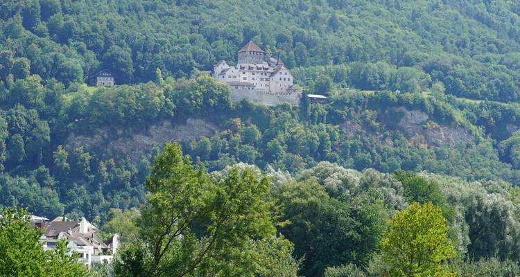 Château sur une colline entouré d'arbres luxuriants et avec une vue sur une ville en contrebas.