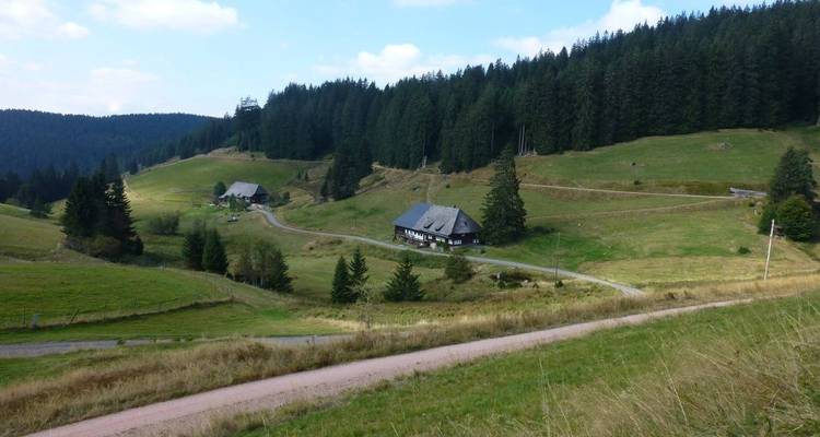 Scène de campagne avec maisons traditionnelles et forêt