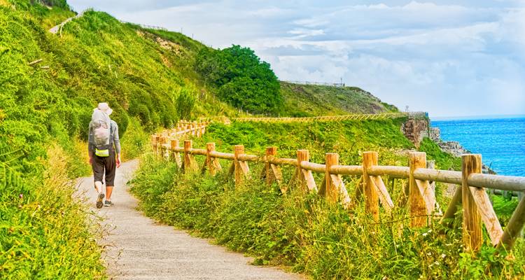 Eine Person, die einen malerischen Küstenweg mit üppigem Grün entlanggeht.