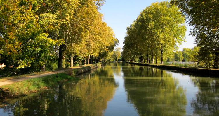 Canal serein bordé d'arbres.