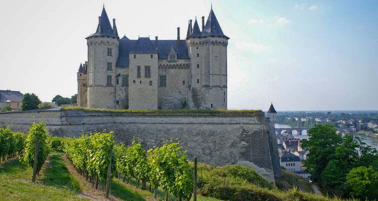 Château médiéval au sommet d'une colline surplombant les vignobles et la vallée fluviale
