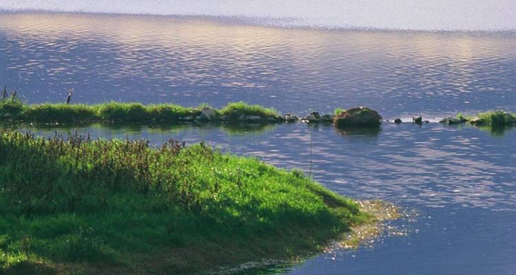 Petite parcelle d'herbe et d'eau avec une colline au loin.