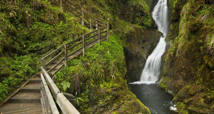 Un paseo de madera y escaleras serpentean junto a una exuberante cascada de garganta que cae en una piscina profunda.