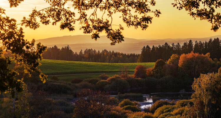 Sunset view over a forested landscape