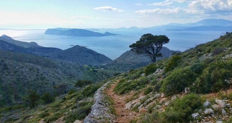 Une vue de montagne avec un sentier et la mer en arrière-plan.