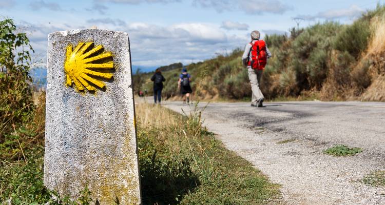Des pèlerins marchant le long d'un sentier marqué d'une coquille Saint-Jacques jaune.