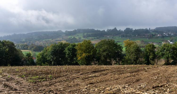 Champs agricoles avec des arbres and des collines sous un ciel nuageux