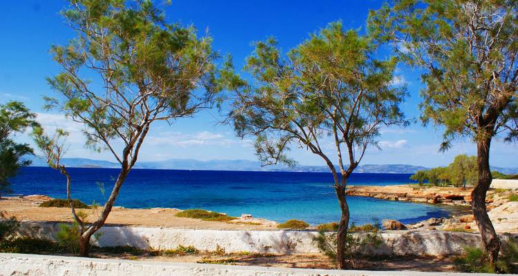 Arbres le long d'une plage aux eaux bleues claires.