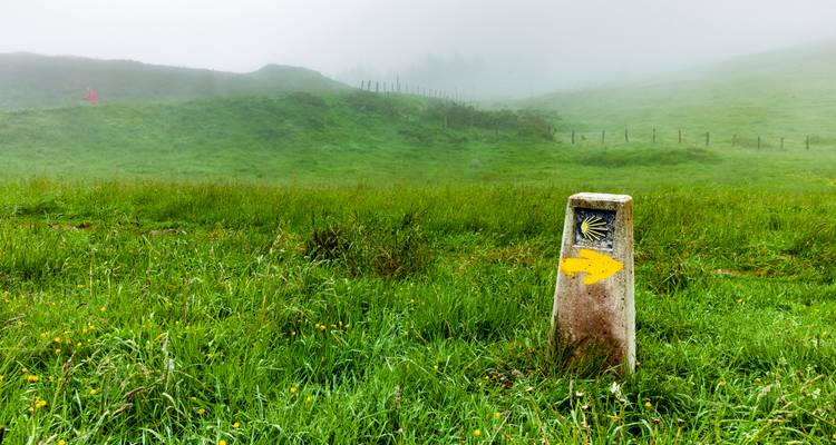 Balise avec symbole de coquille du Camino dans un champ vert brumeux