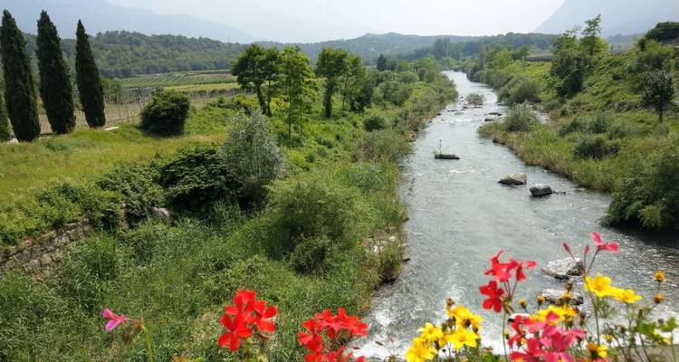 Fluss, der durch ein üppig grünes Tal fließt.