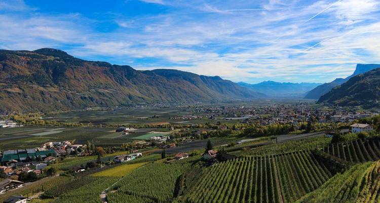 Un extenso valle de viñedos y granjas se extiende bajo montañas teñidas de otoño bajo un cielo azul veteado.