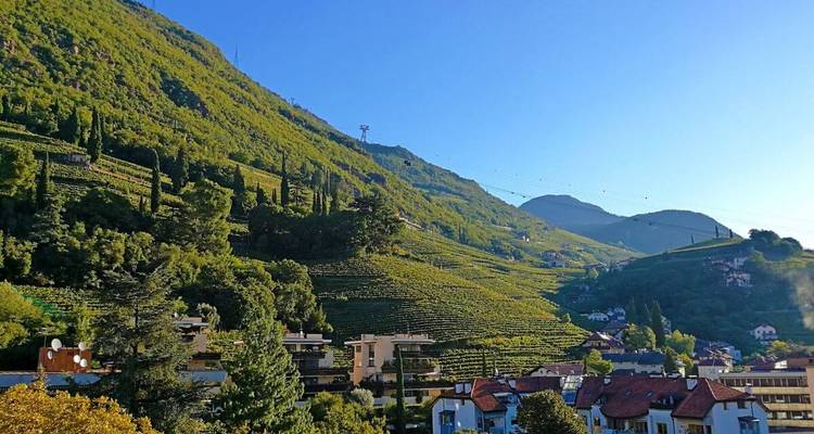 Collines vertes avec vignobles surplombant une ville avec des montagnes.