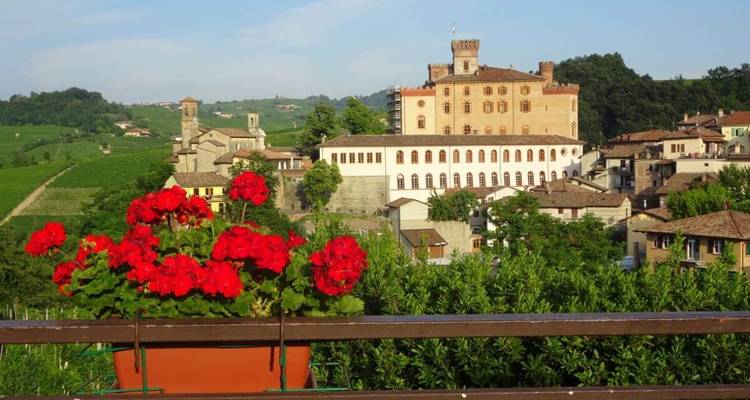 A scenic view of a historic building and surrounding village with red flowers in the foreground.