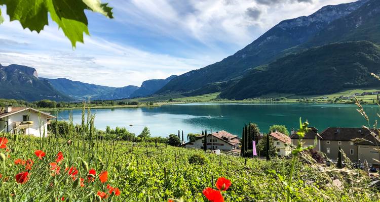 Lac alpin serein entouré de vignobles et de villages sous des montagnes imposantes et un ciel partiellement nuageux.