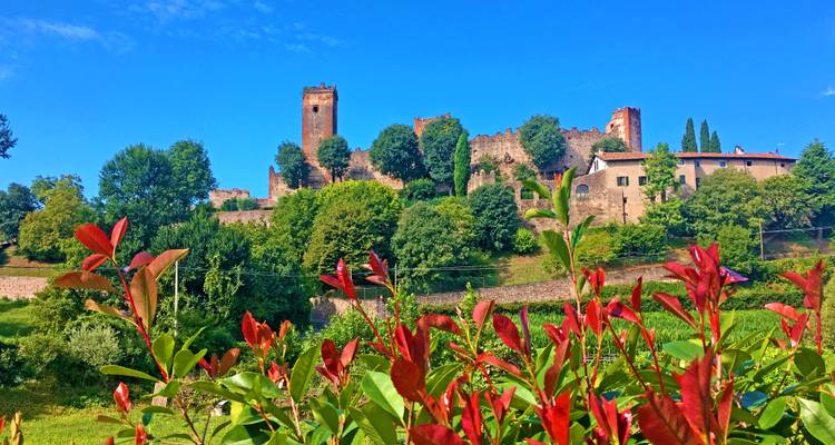 Historisch kasteel omgeven door groen.