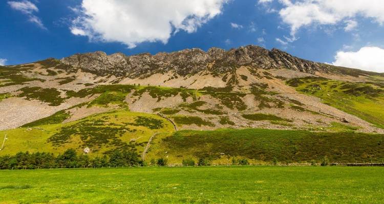 Grüne Wiese unterhalb einer rauen felsigen Bergwand, beleuchtet durch helle Sommersonne.