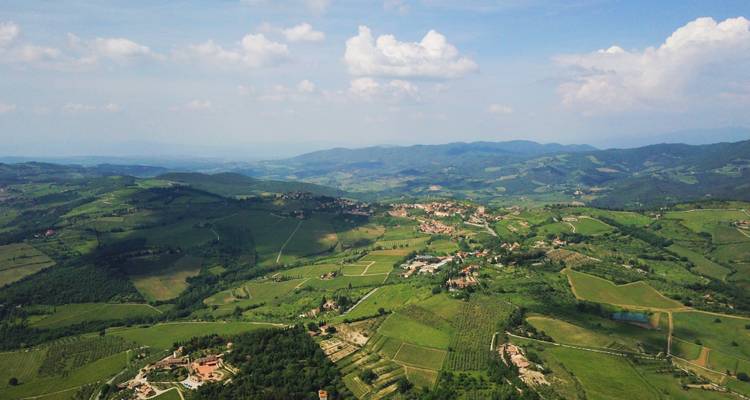 Aerial view of a lush, expansive landscape with small villages.