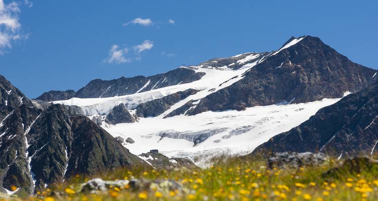 Met sneeuw bedekte bergtoppen met een weide vol gele bloemen op de voorgrond.