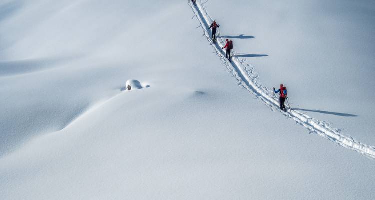 Mensen die een uitgestrekt besneeuw landschap doorkruisen.