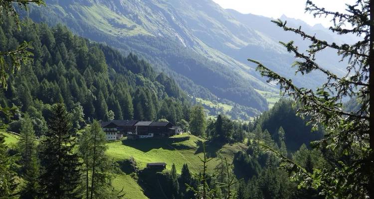 Paysage montagneux verdoyant avec un groupe de bâtiments.