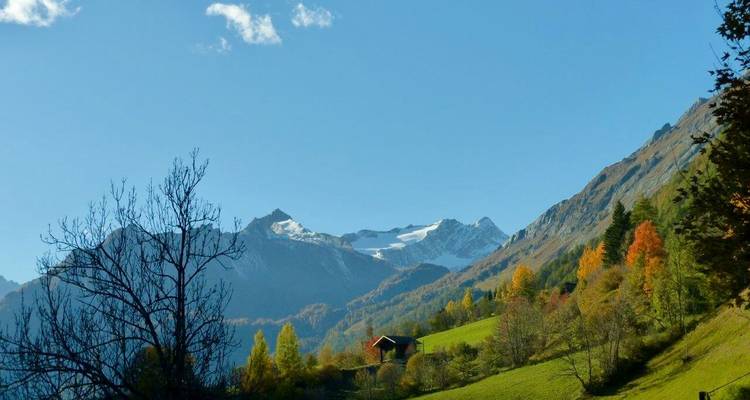 Vue panoramique de montagne avec feuillage d'automne et ciel bleu.