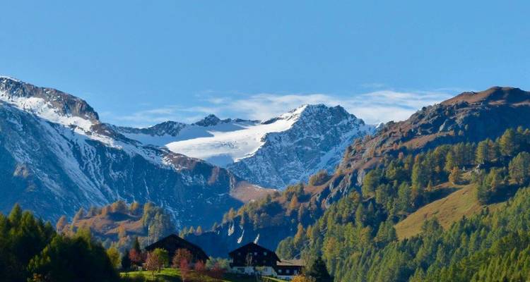 Paysage de montagne avec des sommets enneigés et une forêt verdoyante luxuriante.