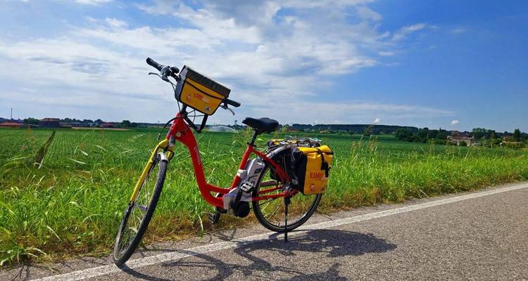 Rotes Fahrrad entlang einer Landstraße geparkt.