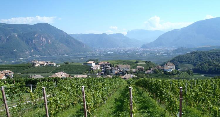 Exuberantes hileras de viñedos descendiendo hacia un amplio valle alpino salpicado de pequeños pueblos y rodeado por montañas.