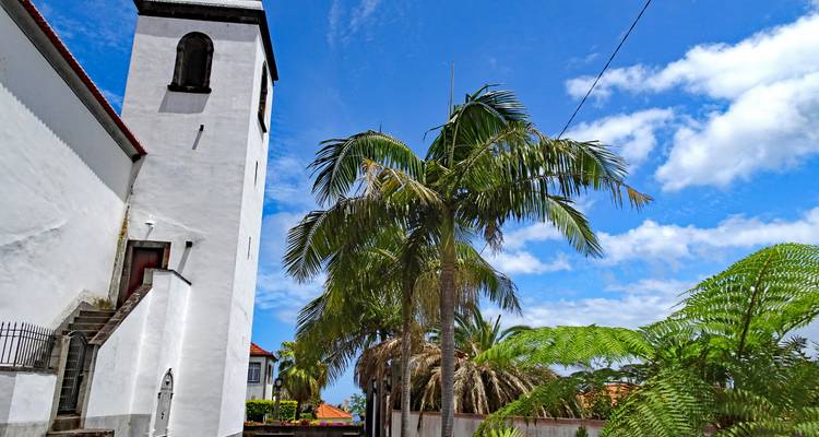 Iglesia con palmeras en un entorno tropical bajo cielos azules.