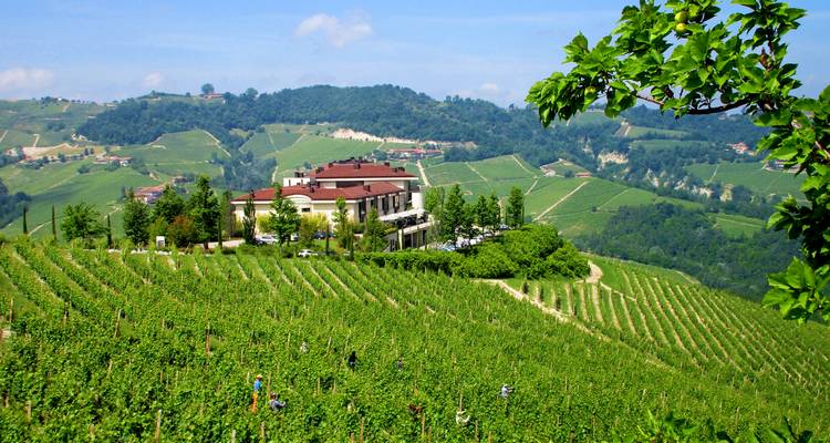 Finca en la colina rodeada de extensos viñedos verdes y campiña ondulante.